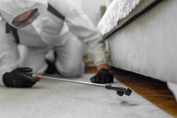 Professional Bed Bug Control technician working in Salmon Brook, CT